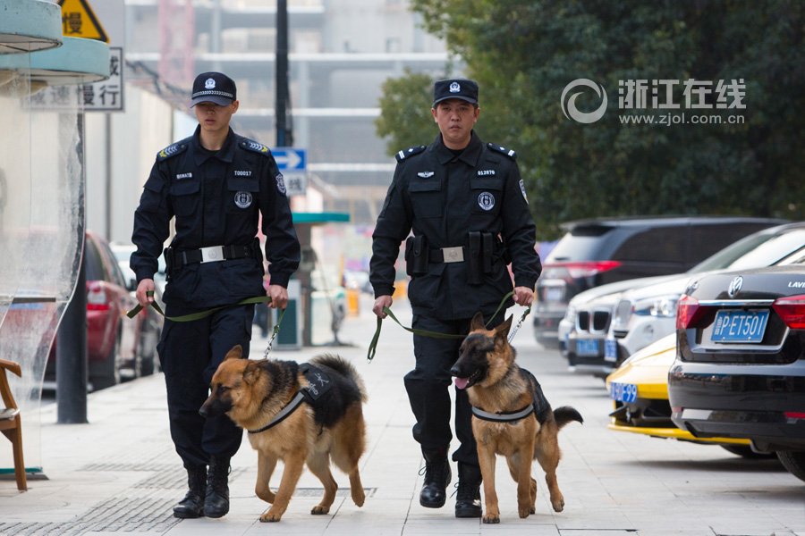 警犬“高富帅”待遇好 工作2小时奖励牛肉鱼肝油