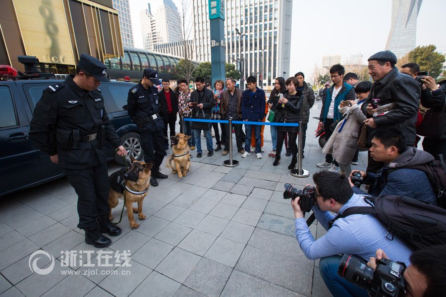 警犬“高富帅”待遇好 工作2小时奖励牛肉鱼肝油