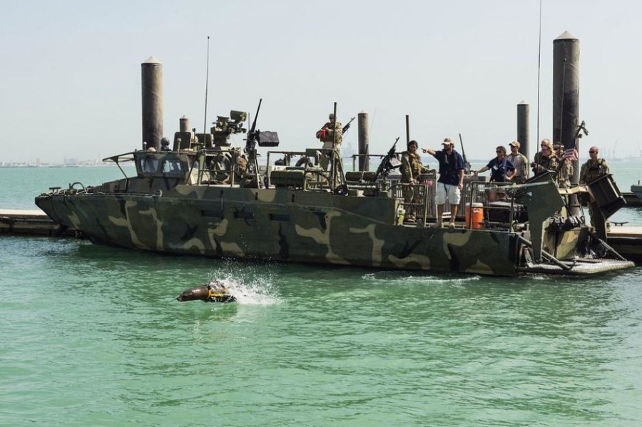 美军训练海狮帮助排除水雷及反蛙人