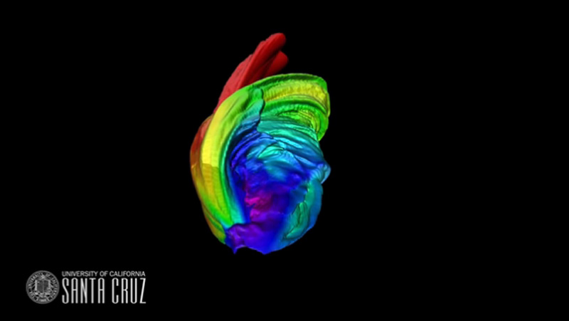 科学家目睹恒星被黑洞控制撕裂“拍扁”过程