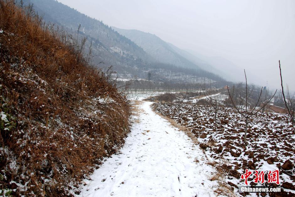 冒雪踏访陕西终南山“茅棚隐士”