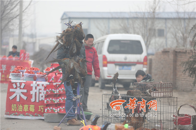 西安：商贩在路边公然卖野兔野鸡