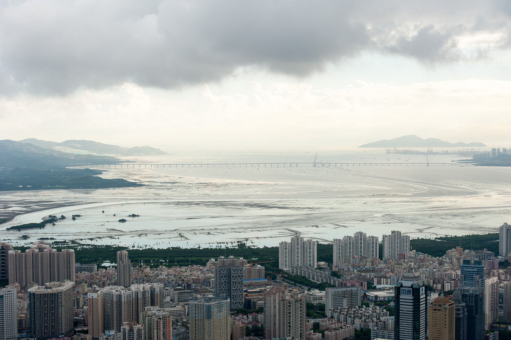 深圳：因城市开发而被破坏的湿地