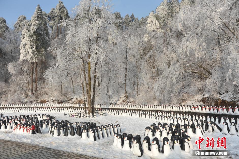 千只“企鹅”“熊猫”雪中集体卖萌