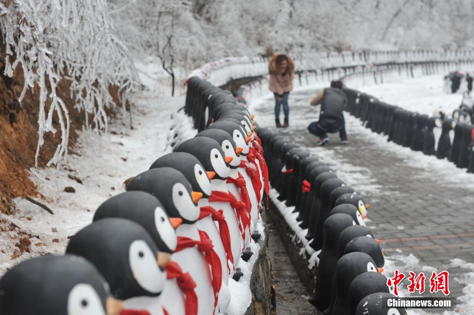 千只“企鹅”“熊猫”雪中集体卖萌