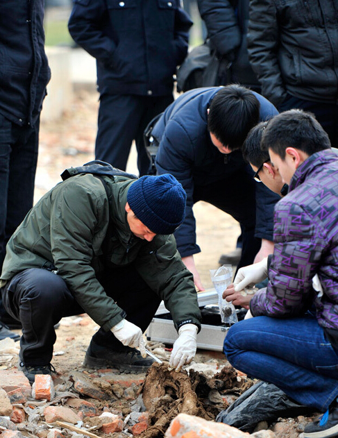 济南：铺路渣土现大量高校遗漏尸块标本