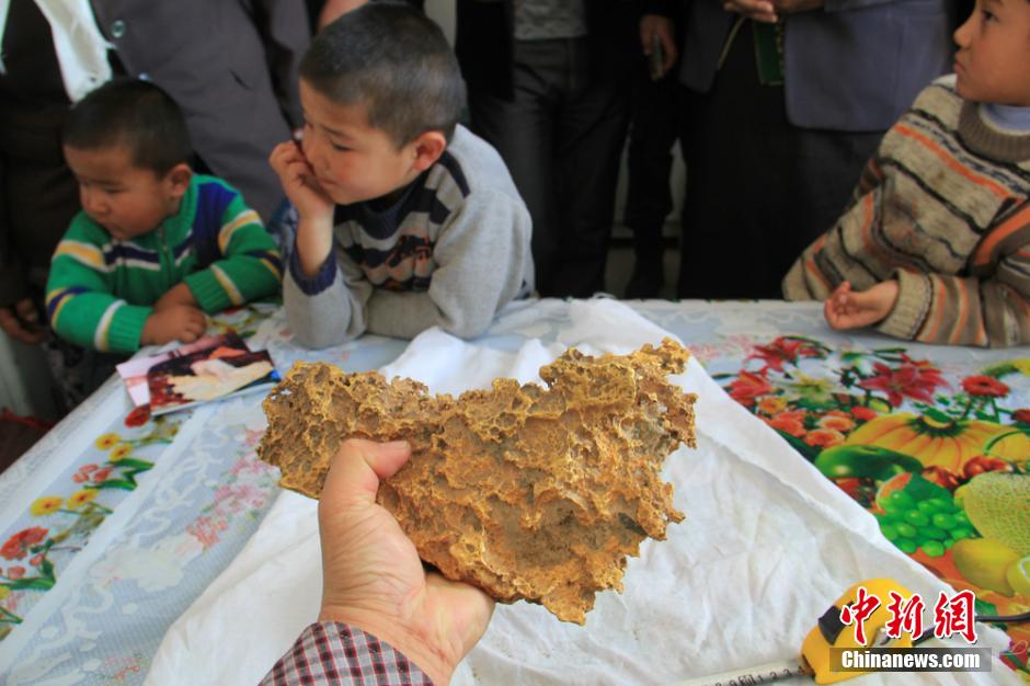 新疆一牧民捡到7850克天然金块 形似中国地图