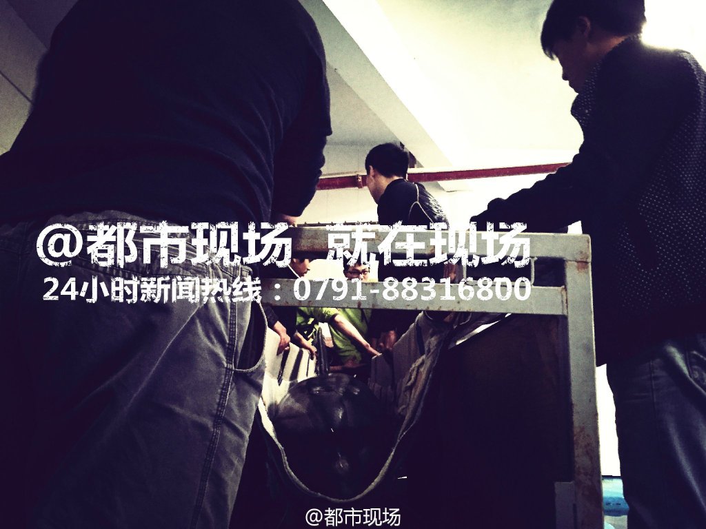 南昌动物园 海豚喉部发现钢丝球