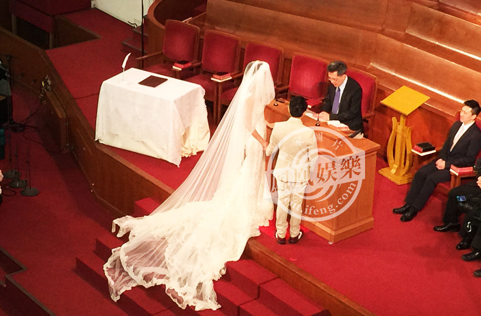王祖蓝李亚男香港大婚：两人深情激吻