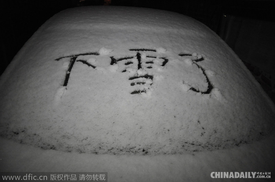 瑞雪兆丰年 北京降下羊年首场雪