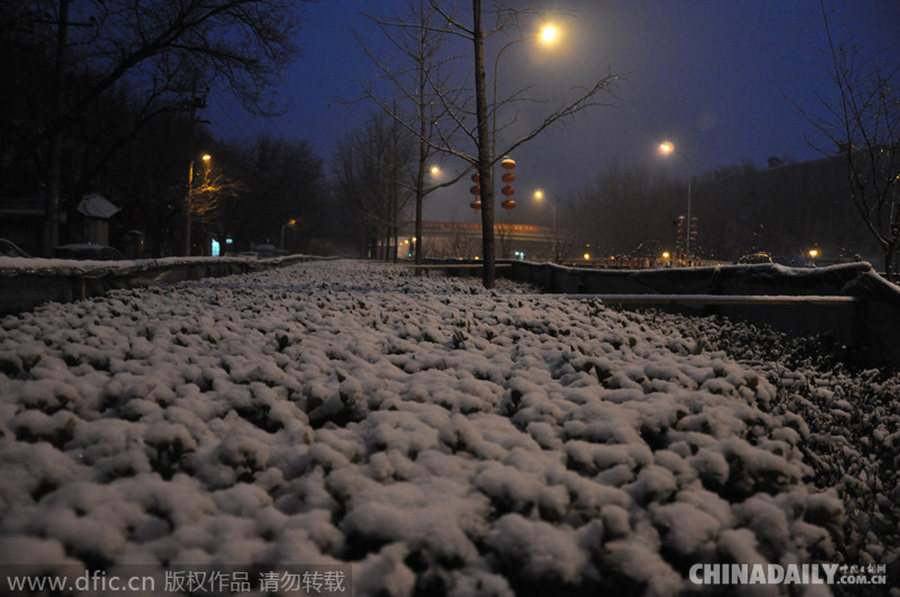 瑞雪兆丰年 北京降下羊年首场雪