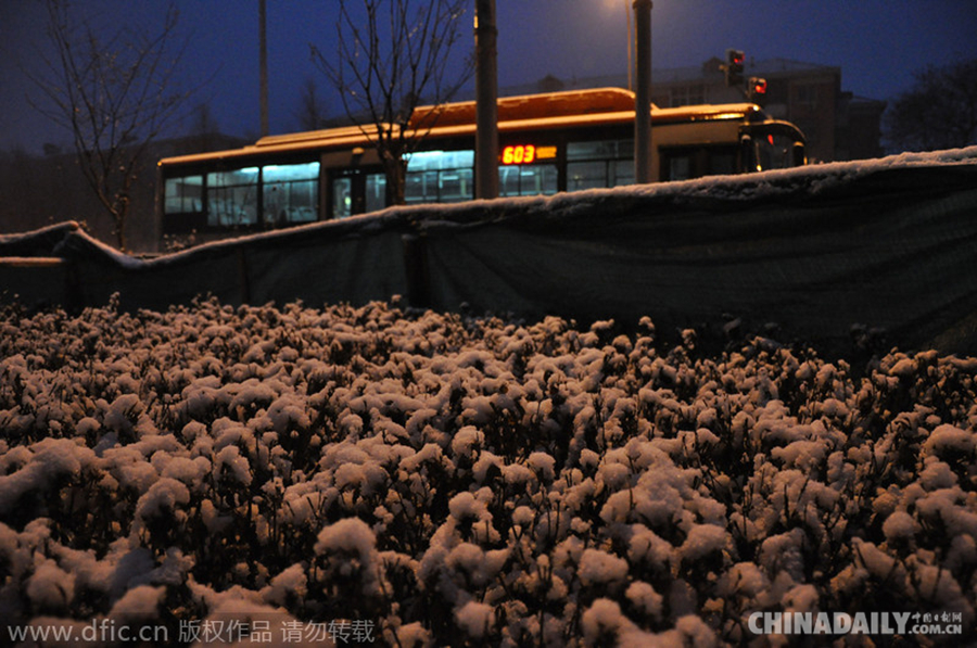 瑞雪兆丰年 北京降下羊年首场雪