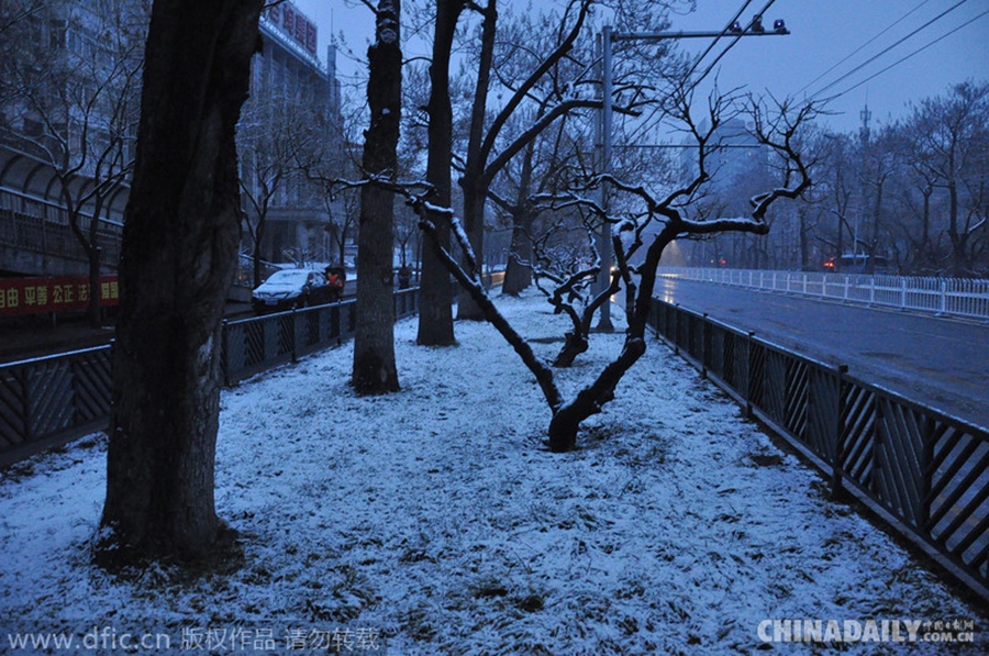 瑞雪兆丰年 北京降下羊年首场雪