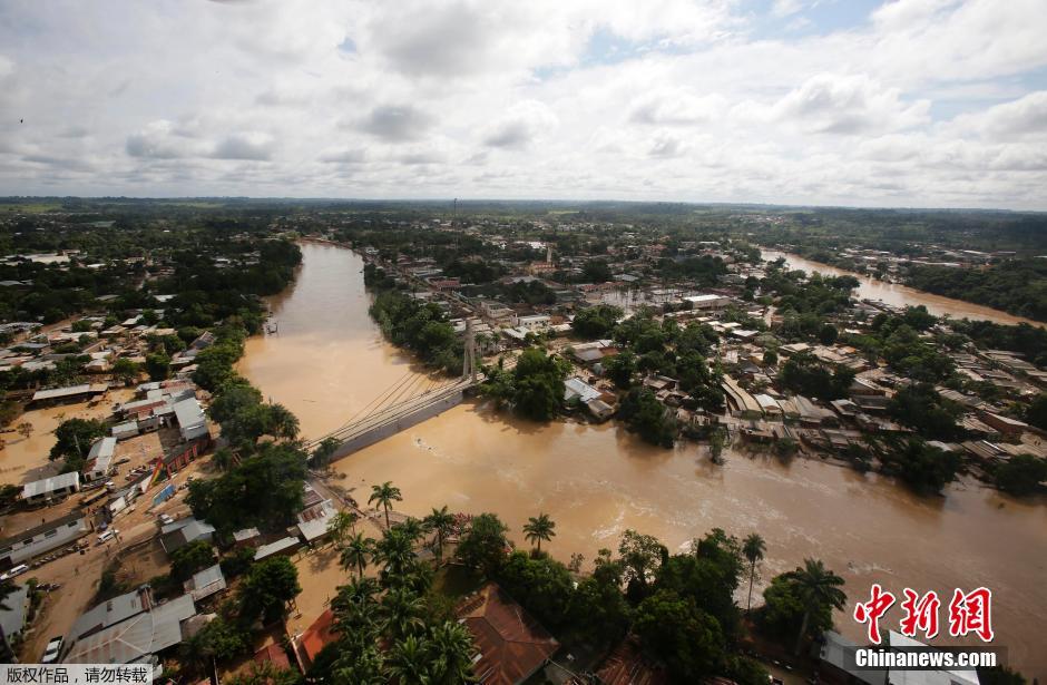 航拍巴西玻利维亚边境洪灾 森林变汪洋