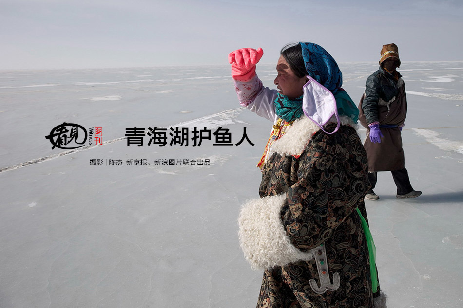 青海湖护鱼人