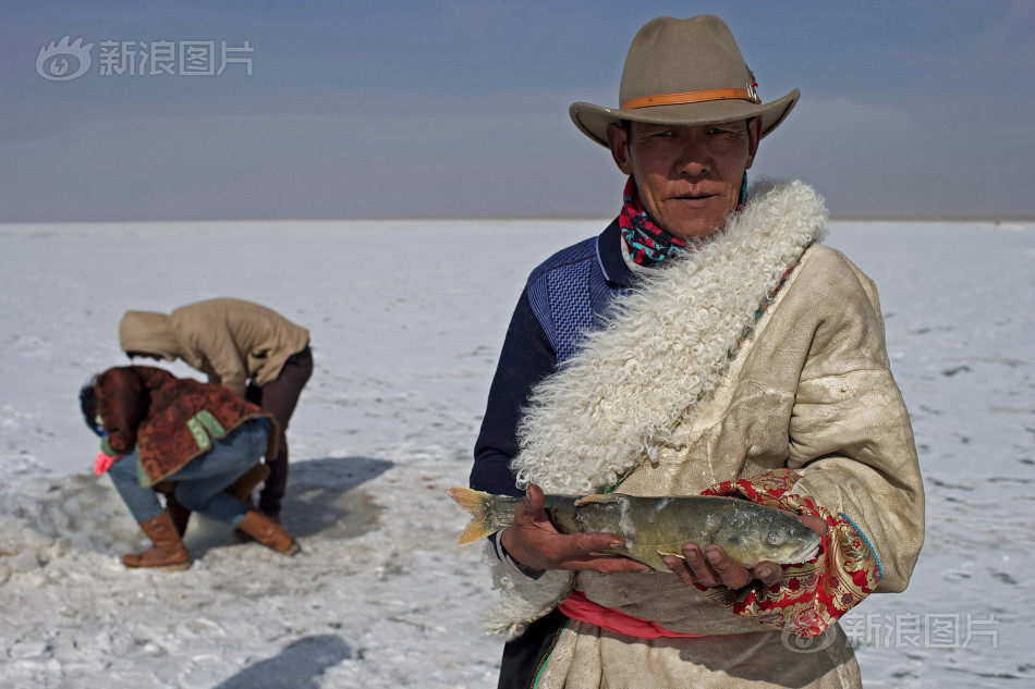 青海湖护鱼人