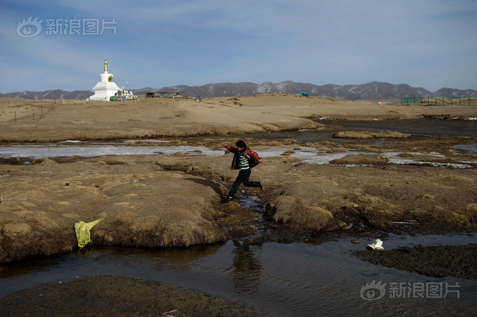 青海湖护鱼人