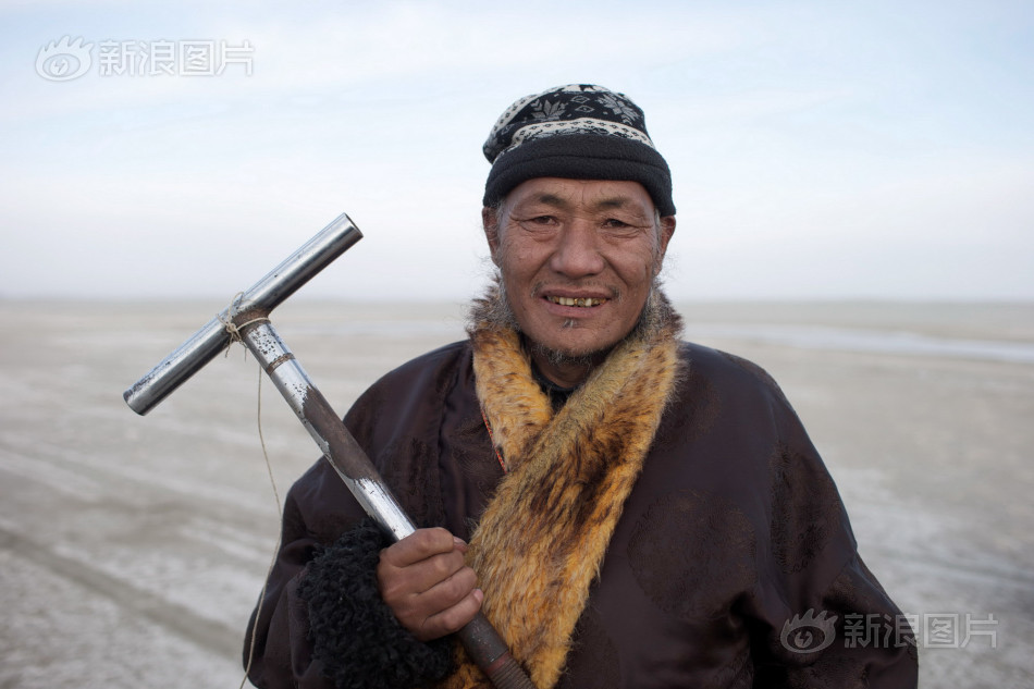 青海湖护鱼人