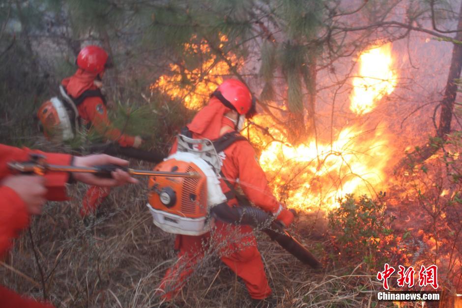 云南石林发生森林火灾 150名森警参与扑救