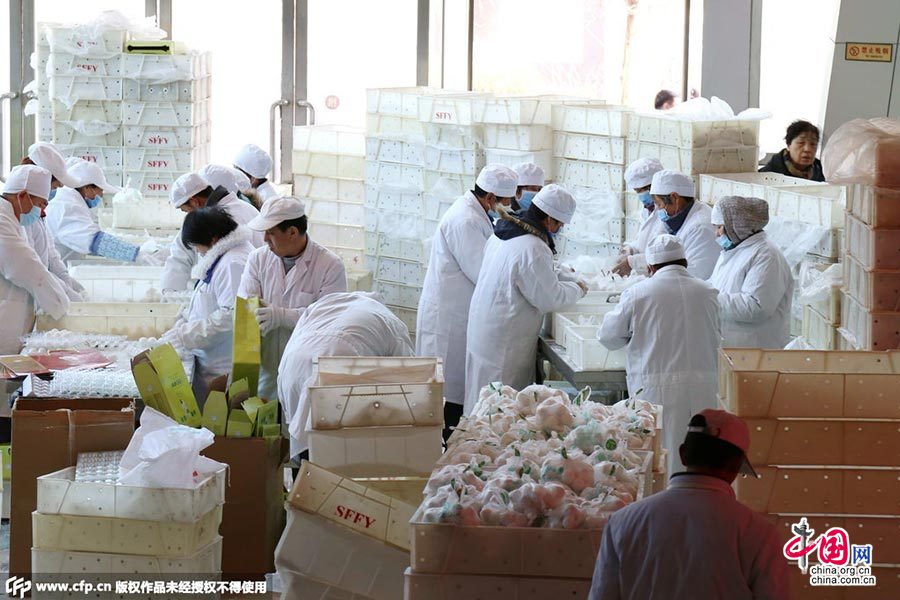 探访北京元宵工坊:有员工不戴口罩