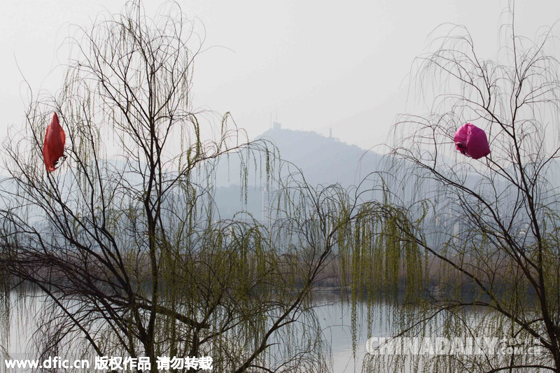 湖北襄阳：元宵节后河堤垃圾遍地 孔明灯被挂树枝