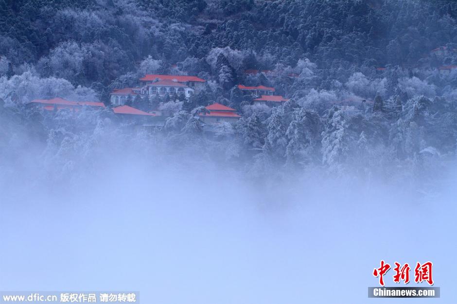 江西庐山雾凇雨淞冰挂“三景同现”
