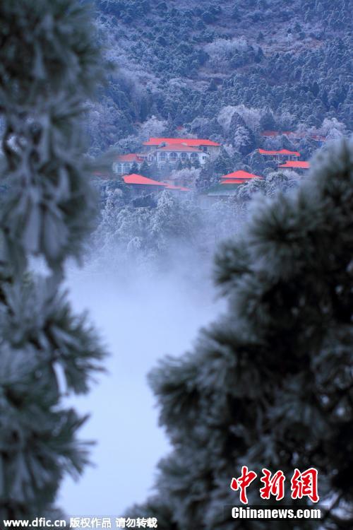江西庐山雾凇雨淞冰挂“三景同现”
