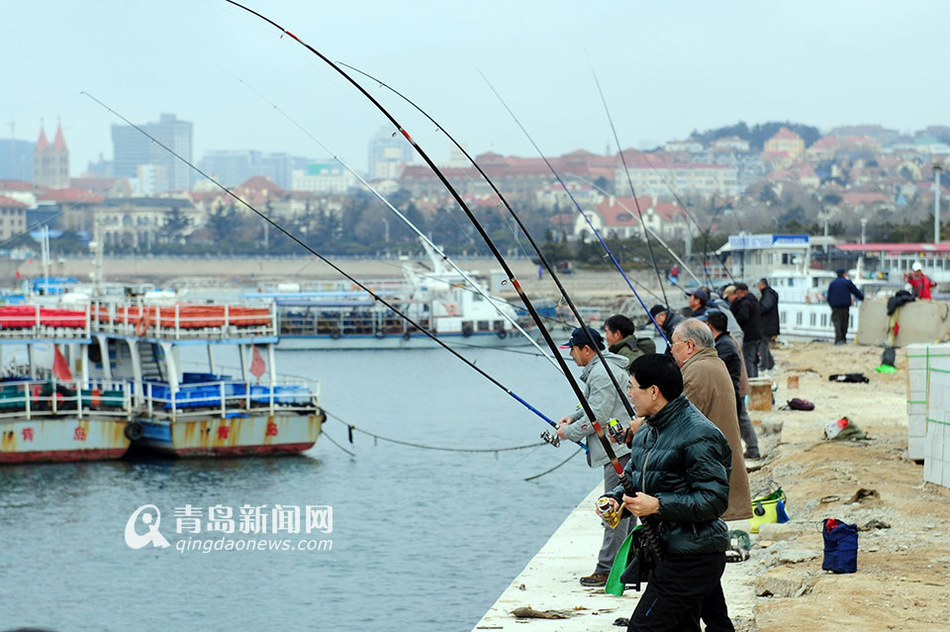 青岛市民钓鱼不用饵 一天能钓40斤