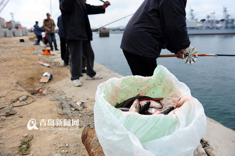 青岛市民钓鱼不用饵 一天能钓40斤