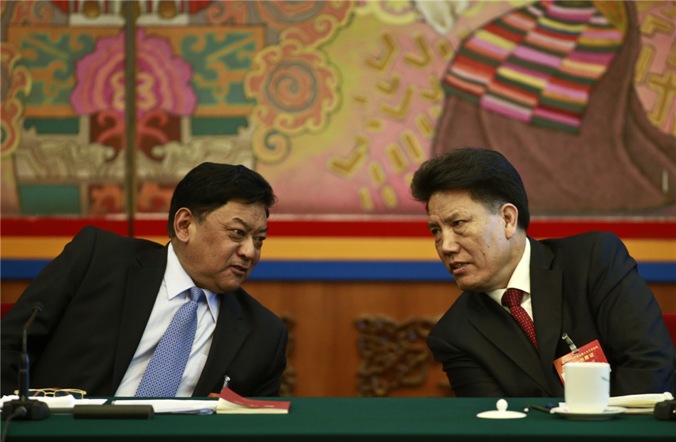 十二届全国人大三次会议西藏代表团举行开放日活动