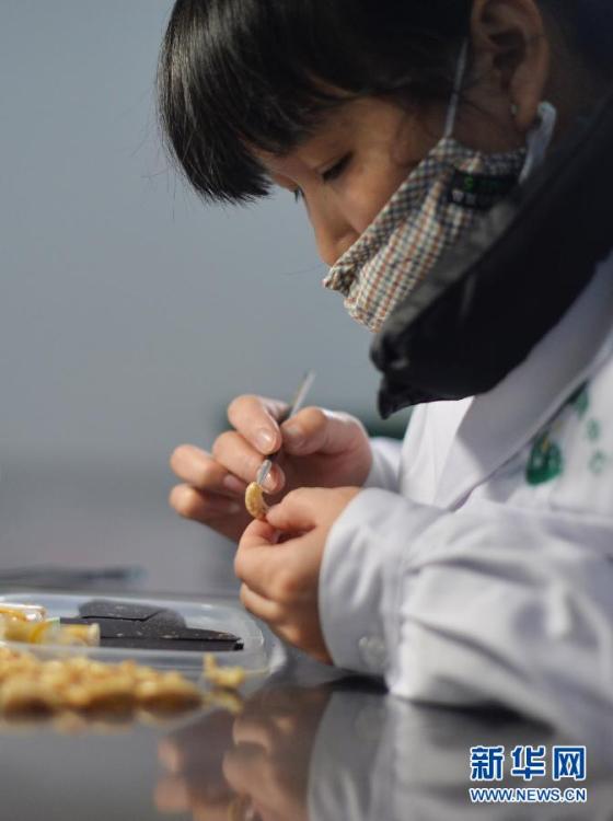植树节探访“天敌战队” 以虫治虫守林护树