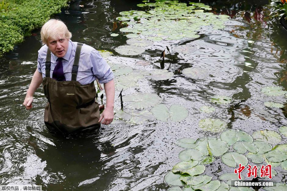 伦敦市长亲力亲为 穿衬衫系领带下水种睡莲