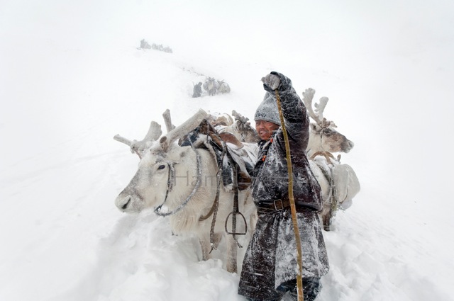 一个生活在深山、与驯鹿为生的蒙古部落