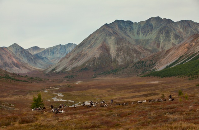 一个生活在深山、与驯鹿为生的蒙古部落