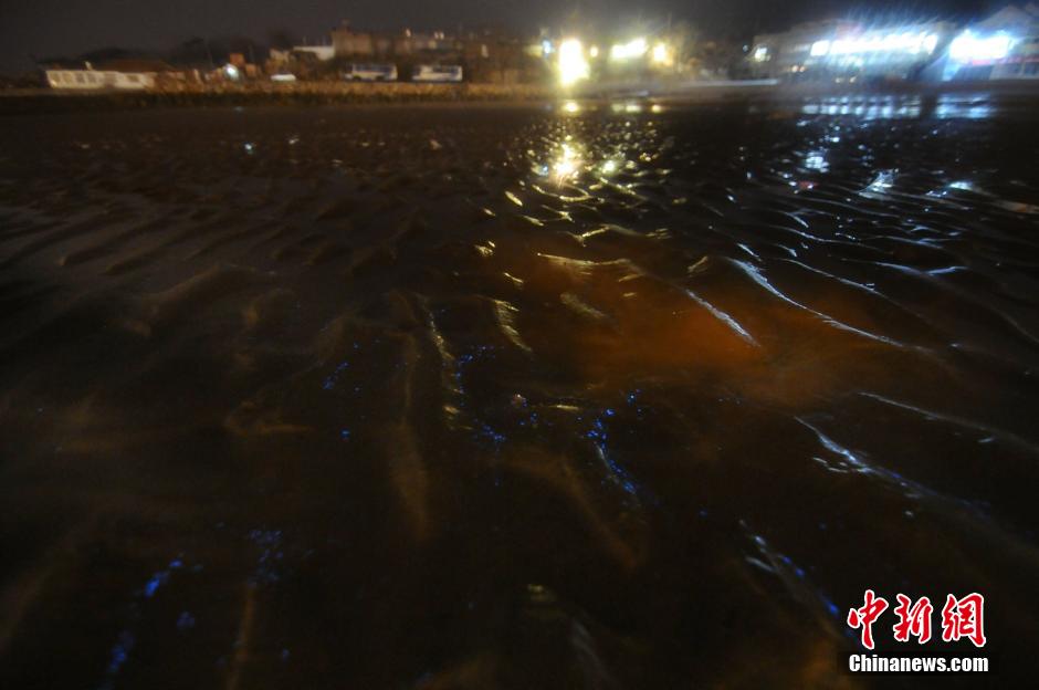 青岛海水浴场现蓝色夜光藻如星河闪亮