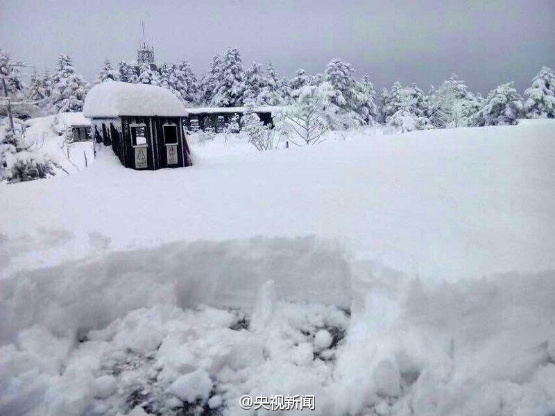 四川峨眉山降近7年来最大一场雪