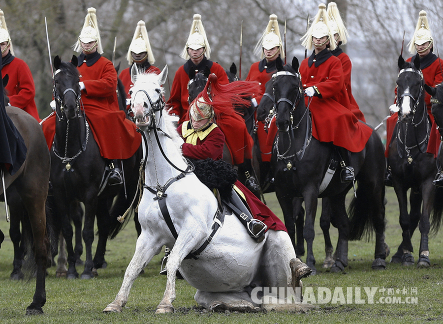 英国皇家骑兵团接受年度检阅 一号兵不慎摔下马背