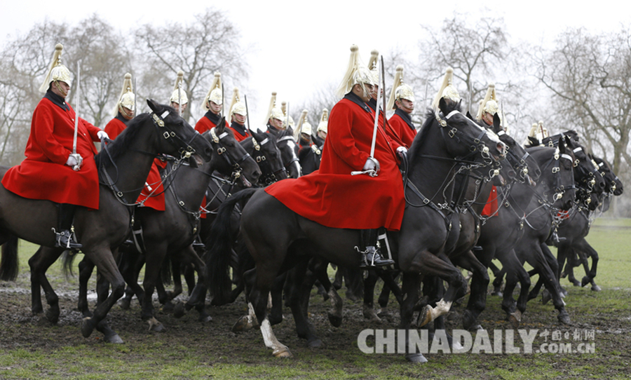 英国皇家骑兵团接受年度检阅 一号兵不慎摔下马背