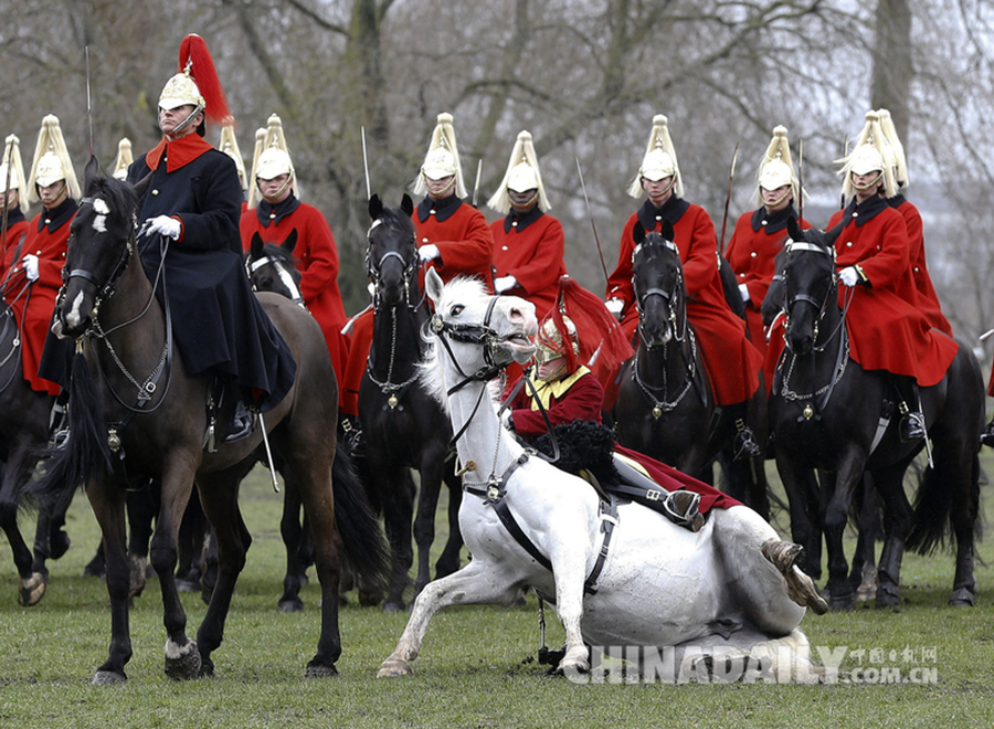 英国皇家骑兵团接受年度检阅 一号兵不慎摔下马背