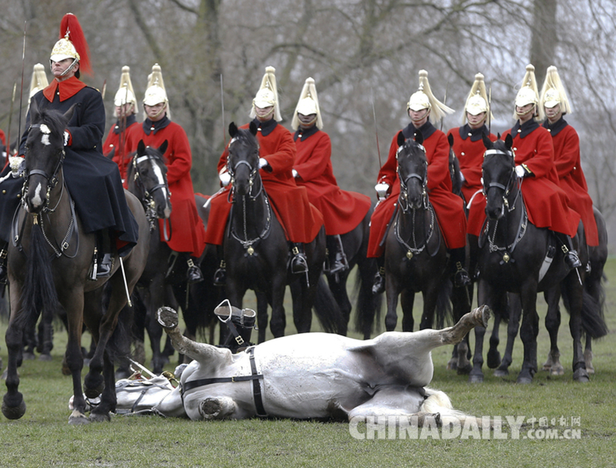 英国皇家骑兵团接受年度检阅 一号兵不慎摔下马背