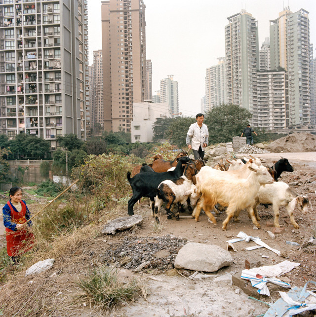 外媒眼中的重庆：城镇化中的“中国底特律”