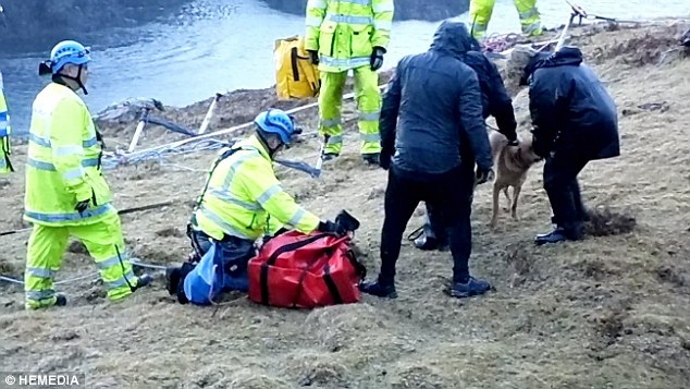 警卫队深入悬崖救出一只小狗
