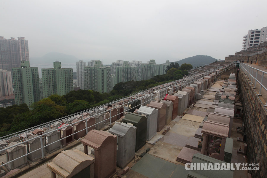 图片故事：与墓为邻的香港