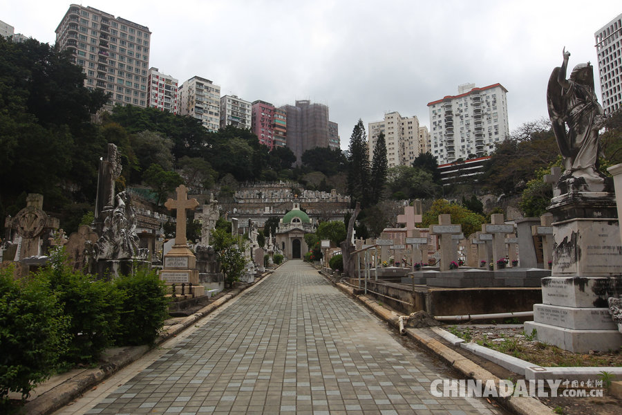 图片故事：与墓为邻的香港