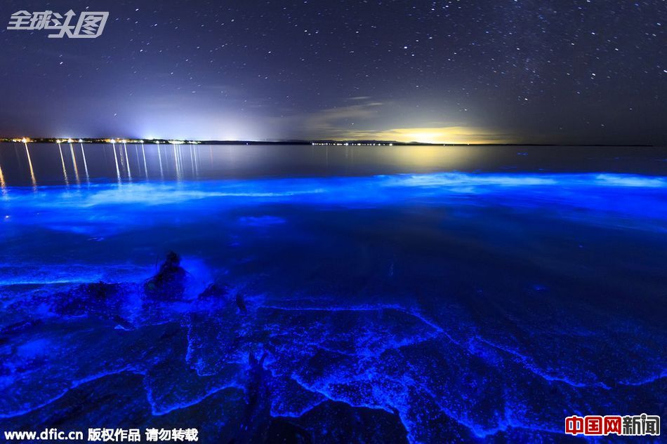 澳海水闪烁罕见迷人蓝色幽光(1\/ 3)