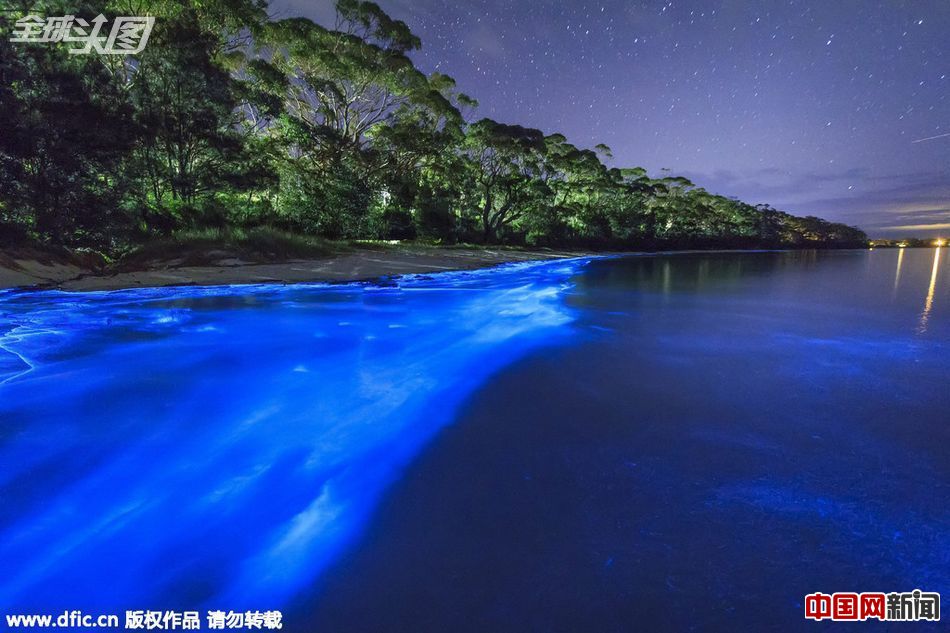 澳海水闪烁罕见迷人蓝色幽光(1\/ 3)