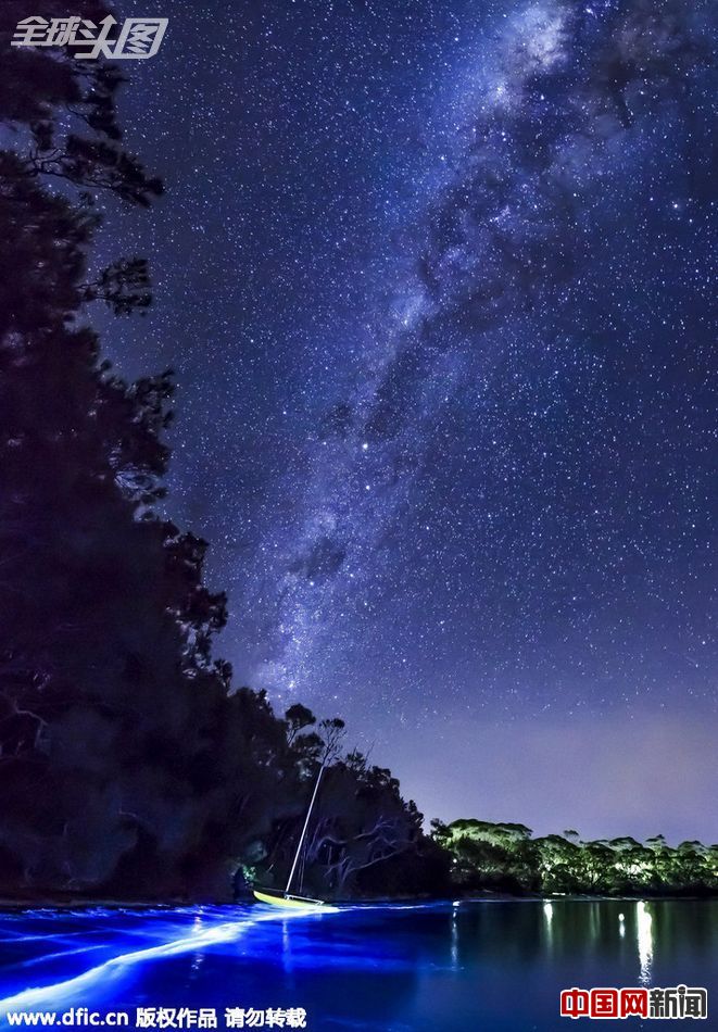 澳海水闪烁罕见迷人蓝色幽光(1\/ 3)