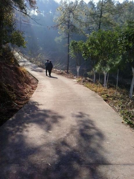 湖南一县委书记被指建豪华别墅 官方回应：他哥的
