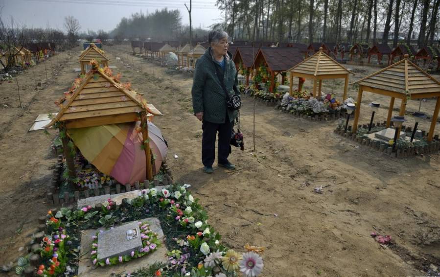 北京宠物公墓：清明也迎扫墓高峰