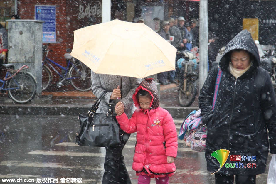 清明时节雪纷飞 哈尔滨遭遇“四月飞雪”